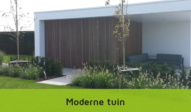 moderne tuin